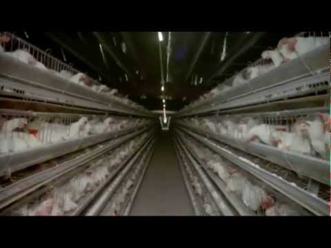 Youtube Video sAUdc9gCsYM