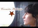 carmiña bohemia   bijouterie artesanal   vivechacabuco