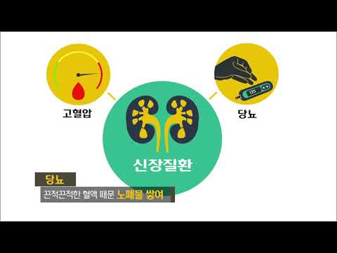 출동건담 신장질환