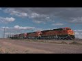 BNSF Z-Train at Goffs