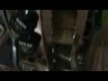 T2darlantan-tribute-