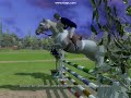 The Great Diamond Fou Project