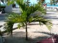 Laura's Isla Mujeres Trip - YouTube