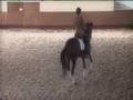Jardim dos Cavalos (deutsch)