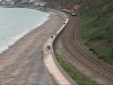 Dawlish Warren and Langstone Rock - 23/08/08
