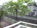 いつものように窓辺で外を眺めていたら、小さな訪問者がやってきました・・・。