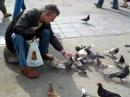 Birds in Freedom!! Birds in Freedom!!