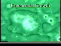 Conditioning of Bacta-Pur® beneficial bacteria Conditioning of Bacta-Pur® beneficial bacteria