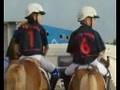 Horse ball GDF 2