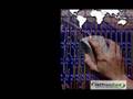 forex auto trading system