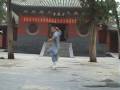 videos de 大洪拳