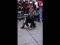 videos de Get Wet Ent. presents The Funeral (Boogie vs. Dopey Fresh)