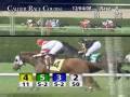 videos de CALDER RACE COURSE, 2008-12-04, Race 8