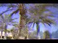 سعدالحلي.3gp
