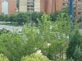 Huelga transportistas Valdemoro dia 9