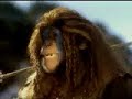 The chimp channel braveheart The chimp channel braveheart