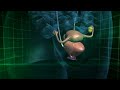Click here to watch this video 3D ProPectin Benefits - (Japanese)