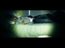 Now On - Unwind Video Trailer Now On - Unwind Video Trailer