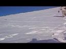 funkyboy Alto campoo