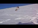 funkyboy Alto campoo