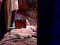 videos de Mindfreaked by Criss Angel