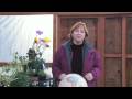 Gardening Tips & Flowers : How to Grow Bridal Wreath (Francoa Ramosa)