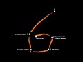 Anorexia - Seis Grados Agencia Publicidad -