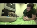 Busch Gardens Welcomes New Baby Cheetah