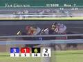 FAIR GROUNDS, 2008-11-16, Race 7