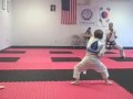 Dragon Test 12509.wmv