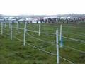 500cc Grasstrack