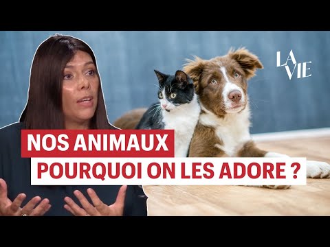 Pourquoi sommes-nous fous de nos animaux ? Avec l&rsquo;éthologue Jessica Serra