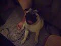 Sleepy Muffin