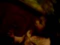 videos de SHERLYN