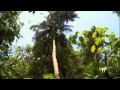 Colombia: La experiencia de tu vida - Experience of your life (Part 3 of 6)