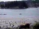 Balcarra Park,  paddlers to bathing beauty