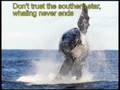 Banco-Moby-Dick