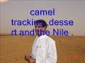 Sudan Tourism Mashansharti Midhat Mahir