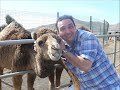 Lanzarote - w ?yciu pi?kne s? tylko chwile...