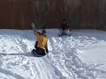 Frank knee sled