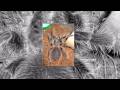 videos de Lasiodora difficilis HD picture slideshow 002