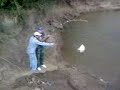 RAYAS EN LA CA�ADA ORAN SALTA