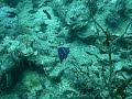Cambodia Video
