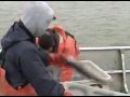 Subsistence in Emmonak
