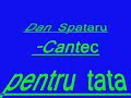 Videoclip Dan Spataru Cantec pentru tata