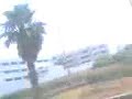 tmara