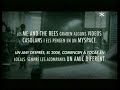 ME AND THE BEES - Patente