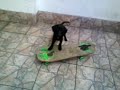 figo first x games
