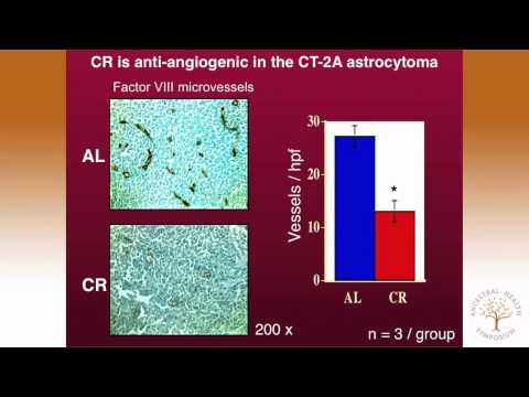 Thomas Seyfried, Ph.D.—Targeting Energy Metabolism in Brain Cancer