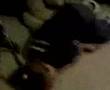 videos de yogaball part two